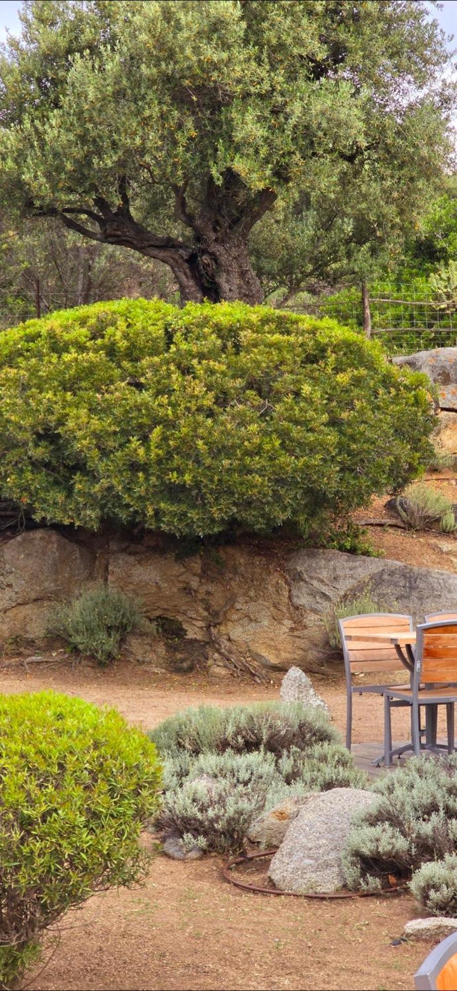 Hotel Cala Di L'Oru LʼÎle-Rousse Kültér fotó