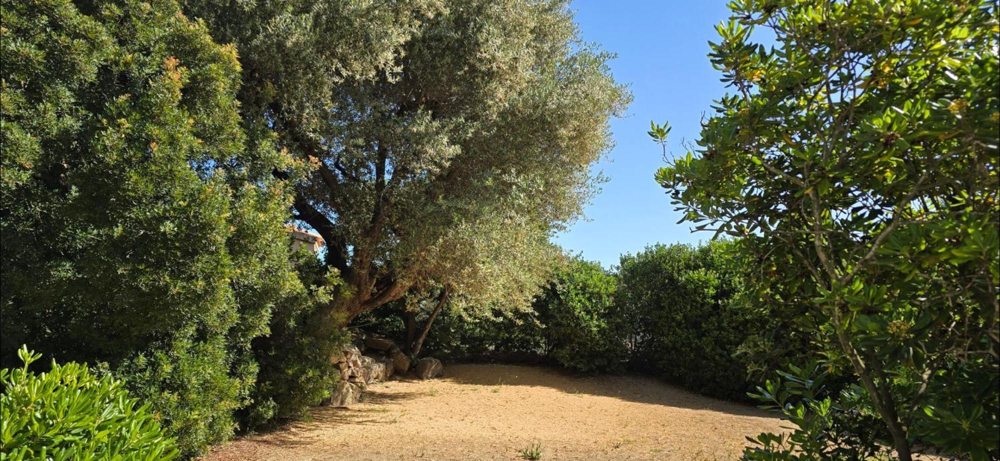 Hotel Cala Di L'Oru LʼÎle-Rousse Kültér fotó