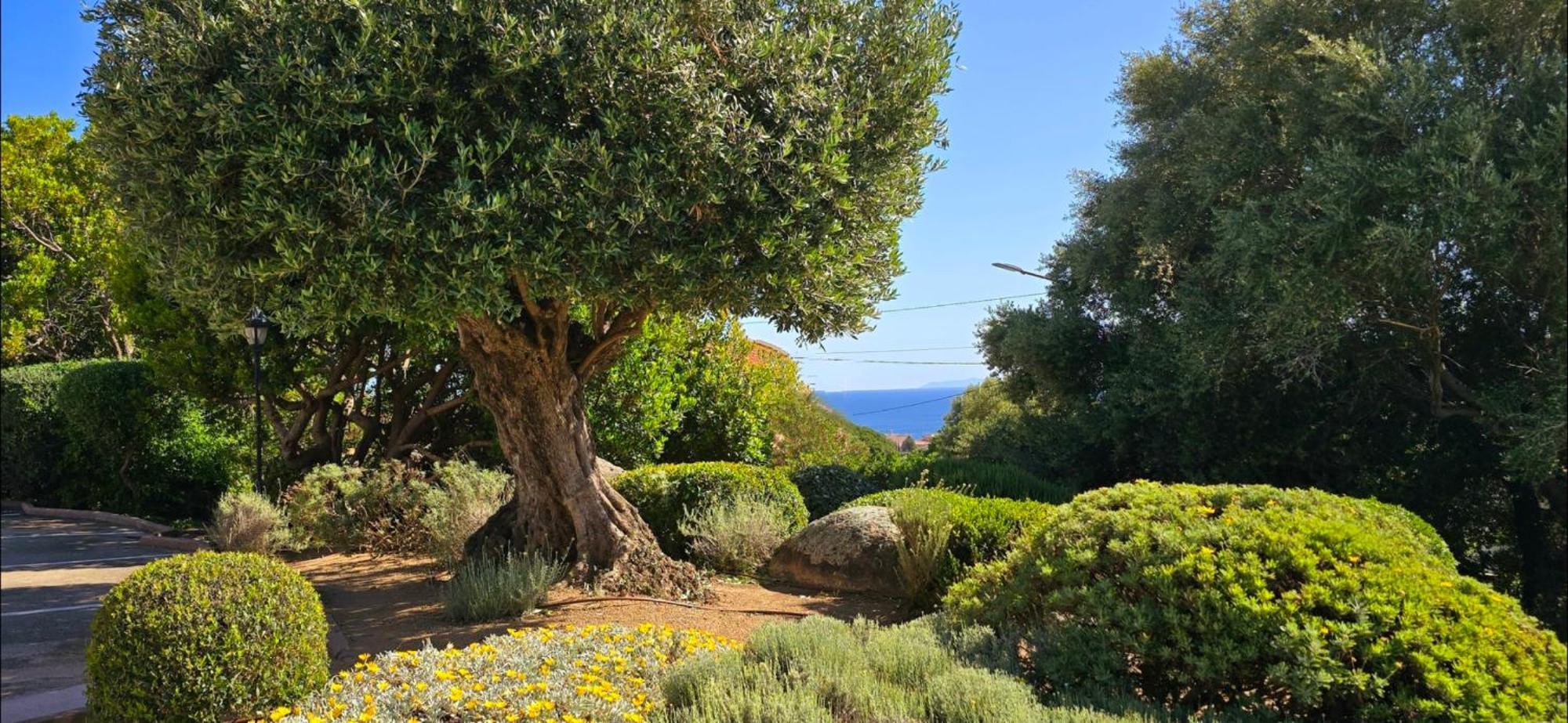 Hotel Cala Di L'Oru LʼÎle-Rousse Kültér fotó