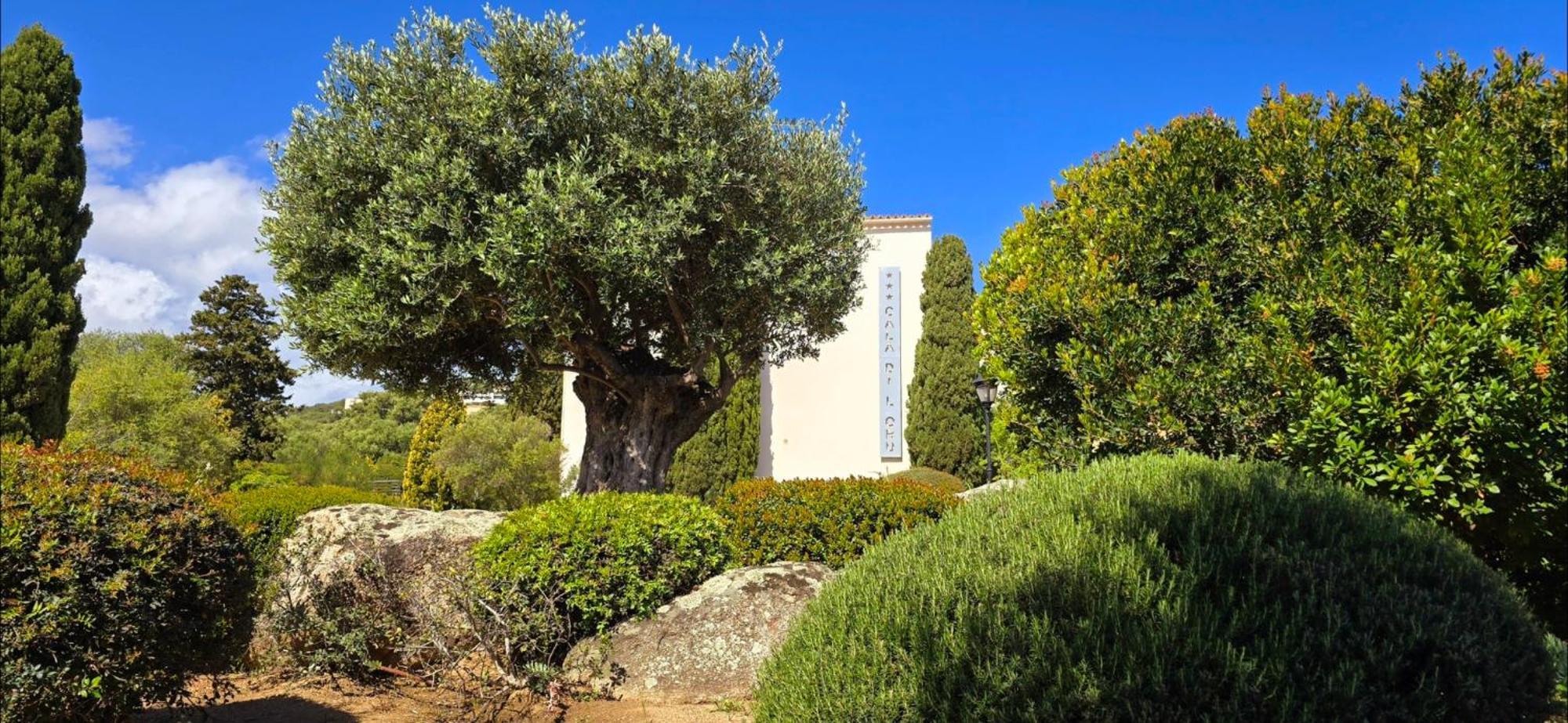 Hotel Cala Di L'Oru LʼÎle-Rousse Kültér fotó